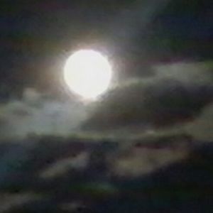 Meet your Posher, Margot